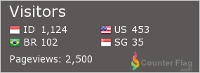 Flag Counter